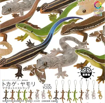Põhivärvide Bioloogiliste Atlas Gashapon Mänguasjad Gecko Külmkapi Magnet Ripats Tegevus Joonis Ornament Mänguasjad
